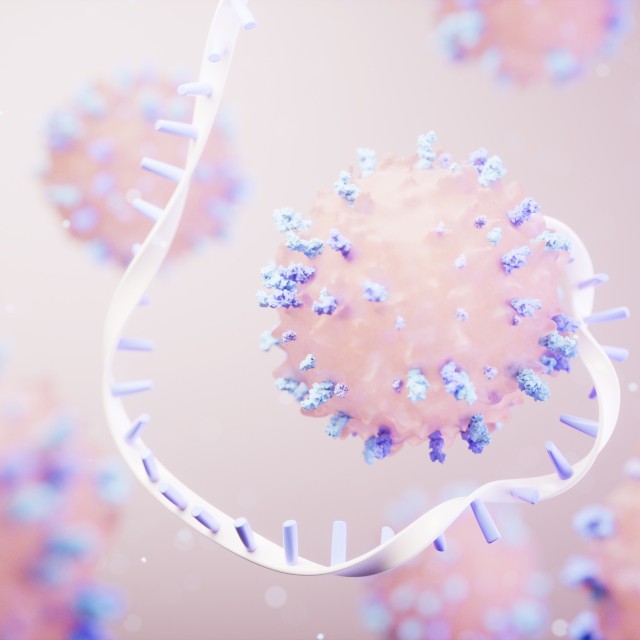 Disease-Associated Risk Variants in ANRIL are Associated with Tumor-Infiltrating Lymphocyte Presence in Primary Melanomas in the Population-Based GEM Study